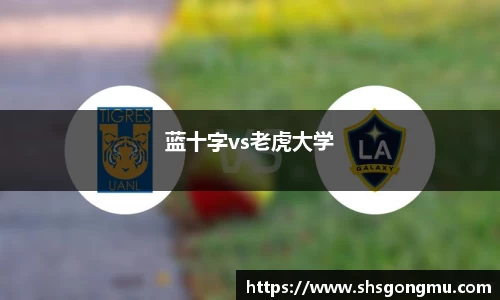 蓝十字vs老虎大学