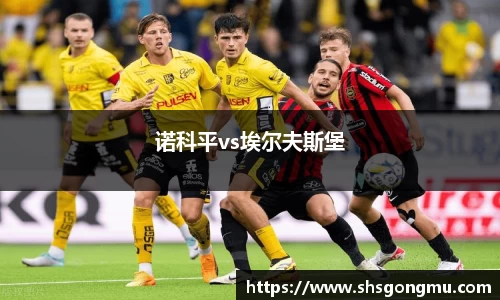 诺科平vs埃尔夫斯堡