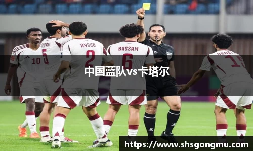 中国蓝队vs卡塔尔