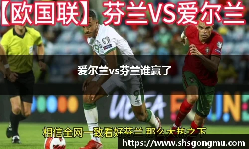 爱尔兰vs芬兰谁赢了