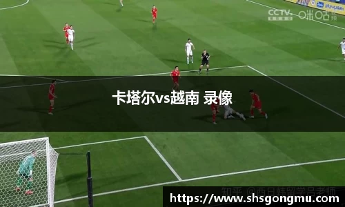 卡塔尔vs越南 录像