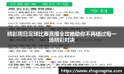 精彩周日足球比赛直播全攻略助你不再错过每一场精彩对决