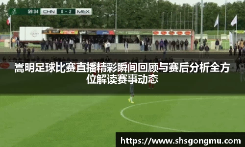 嵩明足球比赛直播精彩瞬间回顾与赛后分析全方位解读赛事动态