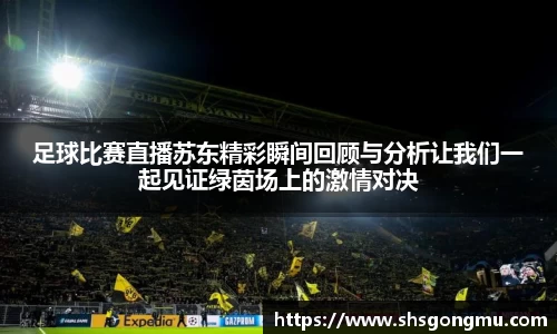 足球比赛直播苏东精彩瞬间回顾与分析让我们一起见证绿茵场上的激情对决