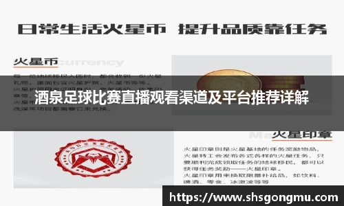 酒泉足球比赛直播观看渠道及平台推荐详解