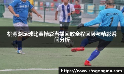 桃源湖足球比赛精彩直播回放全程回顾与精彩瞬间分析