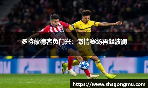 多特蒙德客负门兴：激情赛场再起波澜