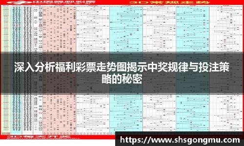 深入分析福利彩票走势图揭示中奖规律与投注策略的秘密