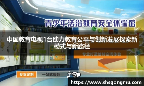 中国教育电视1台助力教育公平与创新发展探索新模式与新路径