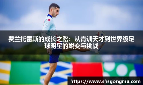 费兰托雷斯的成长之路：从青训天才到世界级足球明星的蜕变与挑战